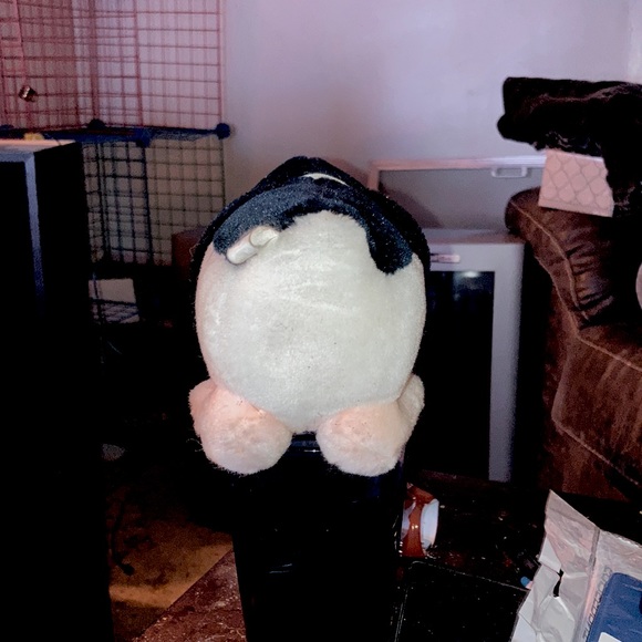 Opus - Picture 5 of 5